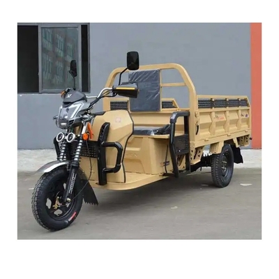 Drei-Rad-Motorräder Lastwagen E Dreiräder / Schwerlastfahrzeuge mit Elektroantrieb