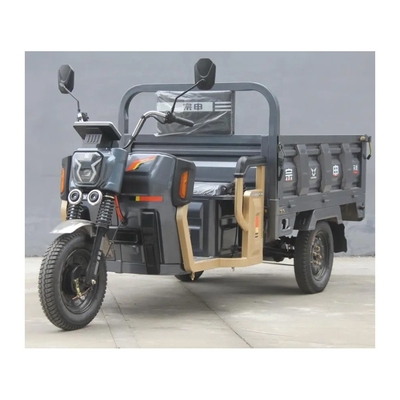 1000 Watt Motor Drei-Räder-Ladenträger Elektro-Dreirad für Erwachsene 1 Passagier offener Körper Typ