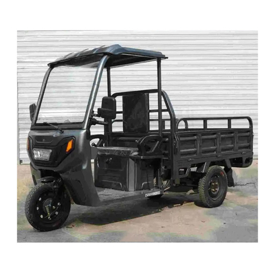 USA 3-Rad-Dump-Truck-Frachtfahrzeug Dreirad-Frachtfahrrad mit Dach und 1000W Leistung
