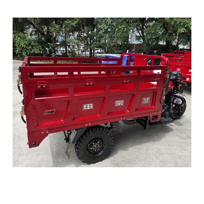 Nigeria Markt 300cc Benzin Motorisiertes Dreirad mit 1000W Leistung und 2390mm Radstand