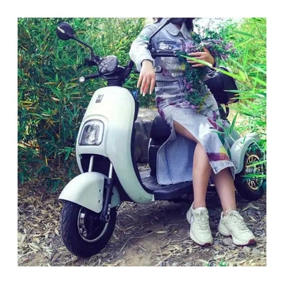 650W Drei-Rad-Elektro-Dreirad-Motorrad-Fahrrad für Erwachsene