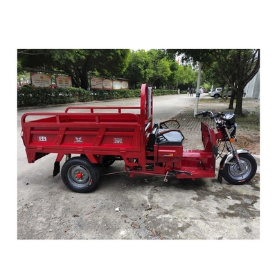 MXZS 1A13 Motor Offener Benzin Trimoto Benzin motorisierte Dreiräder für Erwachsene 1 Passagier
