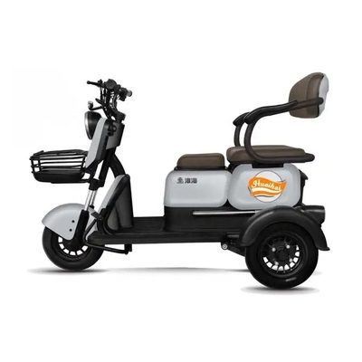 Fahrgäste 2 3-Rad-E-Scooter Motor E-Bike für Erwachsene Tuk Tuk Mobilität E-Scooter