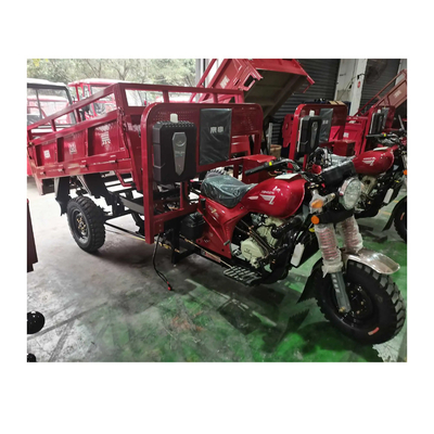 3500*1440*1450mm Motorisiertes Dreirad mit 250cc Motor und Höchstgeschwindigkeit von 50-70Km/h