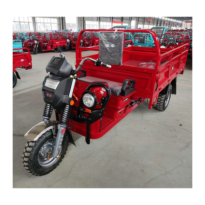 3500*1430*1510mm Elektrische Trimoto 1000W mit fortschrittlicher Technologie