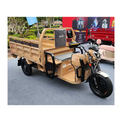 3-Rad-Elektro-Etrike mit Front-Trommel-Hintertrommelbremsen und 70-90 km Fahrleistung
