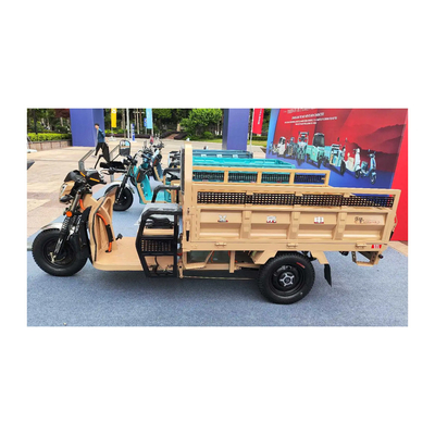3-Rad-Elektro-Etrike mit Front-Trommel-Hintertrommelbremsen und 70-90 km Fahrleistung